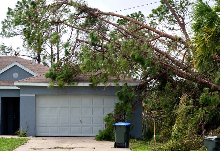 Storm Damage Insurance Coverage in Palm Bay, FL