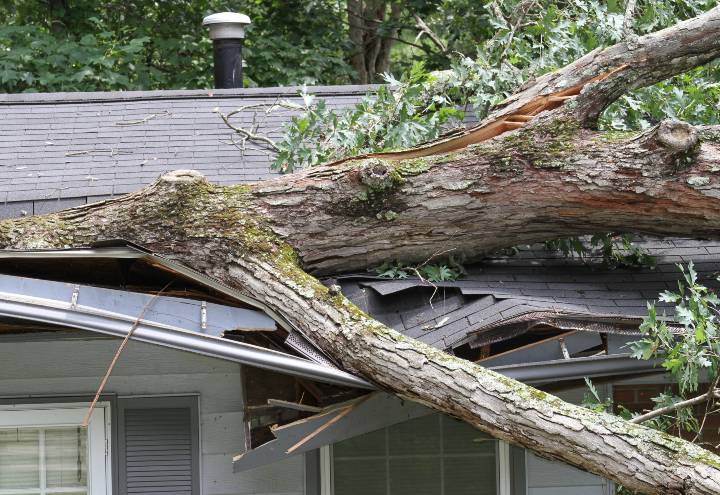 Storm Damage Insurance Coverage Policy in Palm Bay, FL